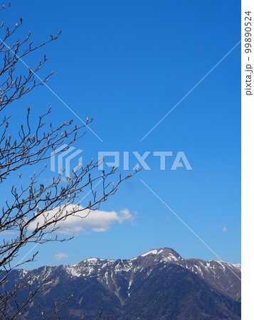 残雪の日光白根山(社山への登山道から) 残雪の日光白根山(社山への登山道から) 99890524