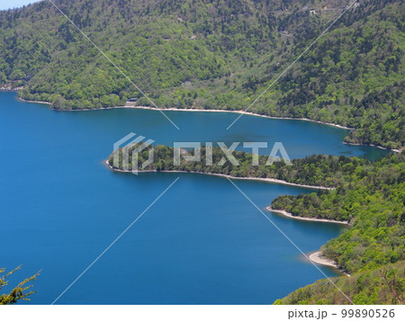 八丁出島(社山への登山道から) 八丁出島(社山への登山道から) 99890526