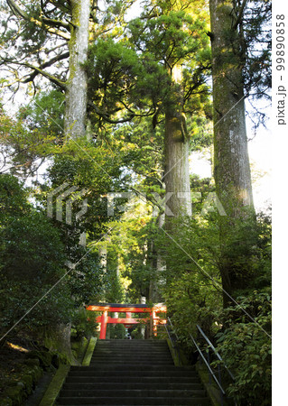 箱根神社 第四鳥居 99890858