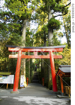 箱根神社 第四鳥居 箱根神社 第四鳥居 99890870