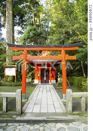 箱根神社　曽我神社 99890872