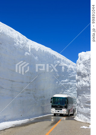 富山立山室堂_雪の大谷の絶景 99891044