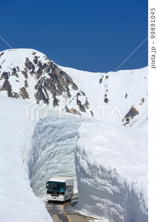 富山立山室堂_雪の大谷の絶景 99891045