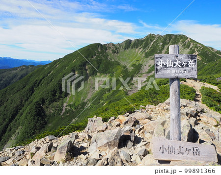 小仙丈ケ岳とカール 99891366