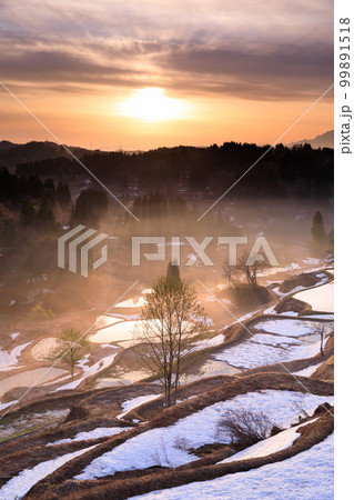 新潟_蒲生の棚田_夜明けの絶景 新潟_蒲生の棚田_夜明けの絶景 99891518