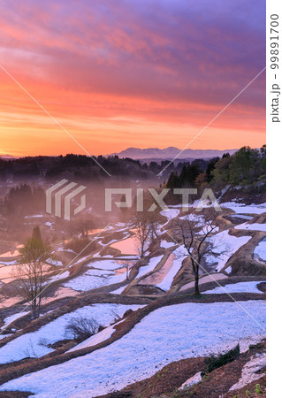 新潟_蒲生の棚田_夜明けの絶景 新潟_蒲生の棚田_夜明けの絶景 99891700