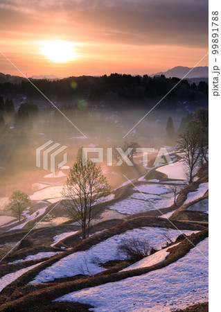 新潟_蒲生の棚田の夜明けの絶景 99891788