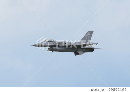 ポーランド空軍F-16C「タイガーデモチーム」 99892165