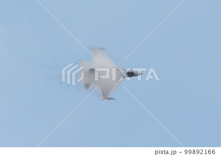 ポーランド空軍F-16C「タイガーデモチーム」旋回 99892166