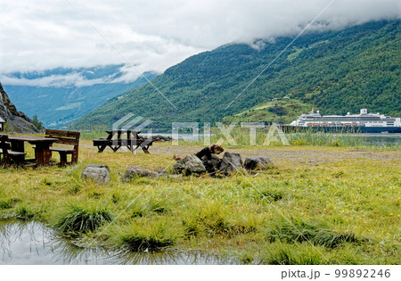 MS Rotterdam Cruise ship in Flam Norway - Travel destination in North of Europe 99892246
