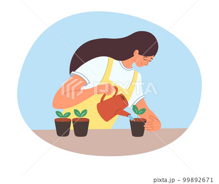 Woman growing seedlings in pots watering sprouts at home indoor gardening concept flat illustration Woman growing seedlings in pots watering sprouts at home indoor gardening concept flat illustration 99892671