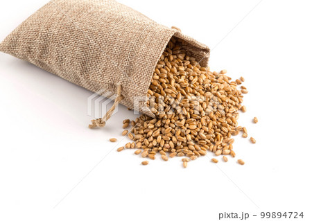whole background of wheat grain whole background of wheat grain 99894724