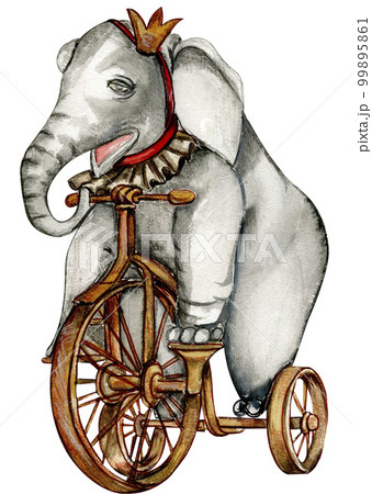 Watercolor hand drawn circus elephant on bicycle vintage style. A drawing of an elephant on a bike with a red ribbon around its neck.Perfect for wedding, invitations, blogs,card templates, birthday . 99895861