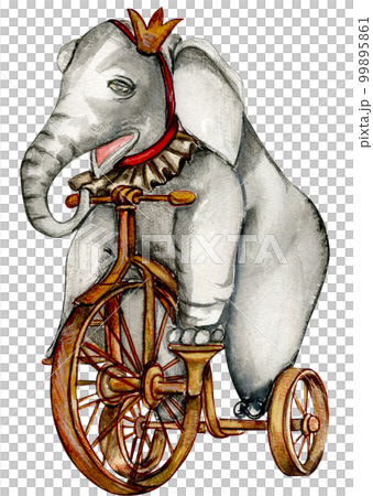 Watercolor hand drawn circus elephant on bicycle vintage style. A drawing of an elephant on a bike with a red ribbon around its neck.Perfect for wedding, invitations, blogs,card templates, birthday . 99895861