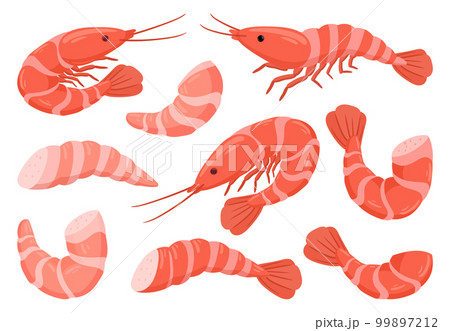 Cartoon shrimps. Raw or boiled seafood, tiger shrimps meat, king prawns without shell flat vector illustration set. Ocean shrimps collection 99897212