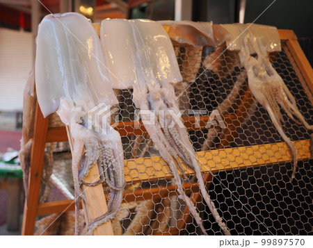 イカの天日干し 99897570