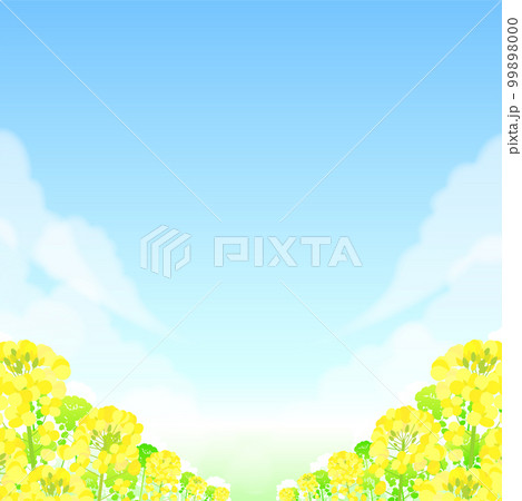 菜の花畑と青空の風景 菜の花畑と青空の風景 99898000