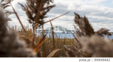 View looking though the weeds and beach grass at the Great South Bay Bridges 99898882