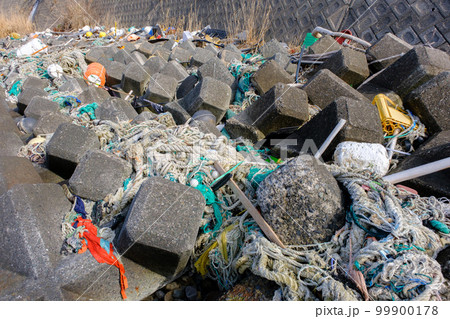 美しい美浜の浜に漂着する海のゴミ 美しい美浜の浜に漂着する海のゴミ 99900178