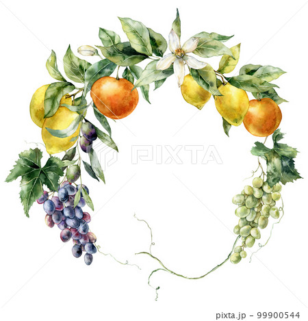 Watercolor tropical wreath of flower, ripe lemons, oranges, grapes and leaves. Hand painted branch of fresh fruits isolated on white background. Tasty food illustration for design, print, background. 99900544