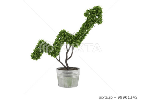 Plant in a pot cut in the shape of an arrow. concept of success and improvements. 3d render Plant in a pot cut in the shape of an arrow. concept of success and improvements. 3d render 99901345