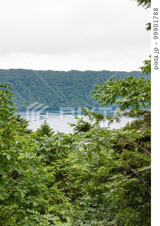倶多楽湖 扇型展望台からの俱多楽湖の風景 倶多楽湖 扇型展望台からの俱多楽湖の風景 99901788
