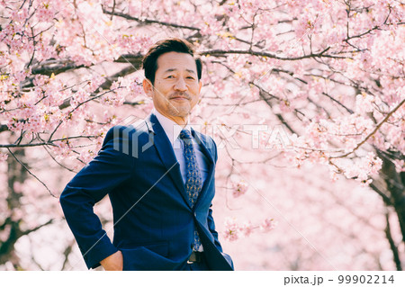 満開の桜とスーツを着たオジサン 満開の桜とスーツを着たオジサン 99902214