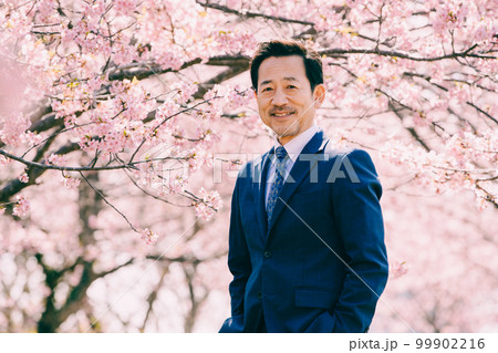 満開の桜とスーツを着たオジサン 99902216