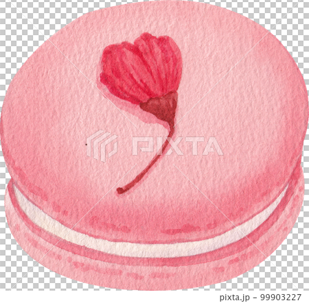 Cherry blossom dessert watercolor png element 99903227