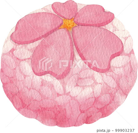 Cherry blossom dessert watercolor png element 99903237