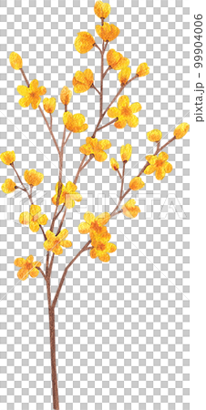 Sunflower blooming watercolor,png element 99904006