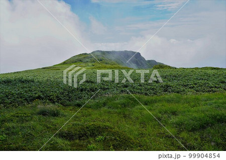 狩場山頂の草原 狩場山頂の草原 99904854