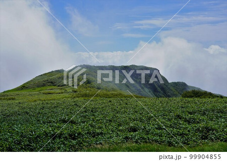 狩場山頂の草原 99904855