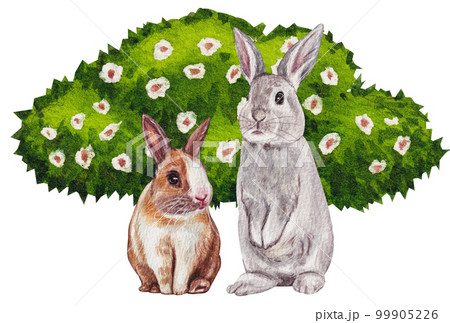 Pet care watercolor png element Pet care watercolor png element 99905226