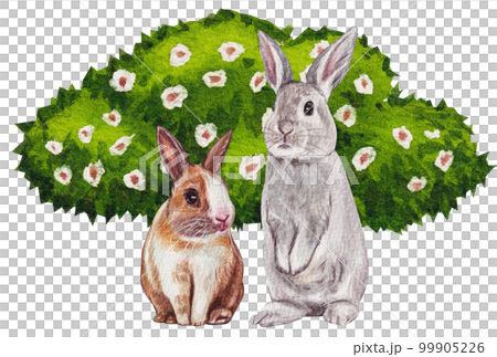 Pet care watercolor png element Pet care watercolor png element 99905226