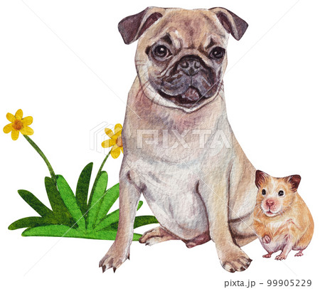 Pet care watercolor png element Pet care watercolor png element 99905229