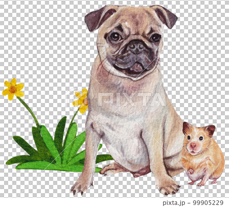 Pet care watercolor png element Pet care watercolor png element 99905229