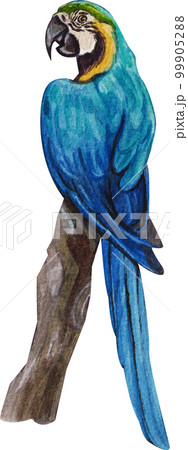 Pet care watercolor png element Pet care watercolor png element 99905288