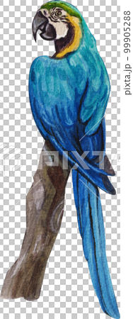 Pet care watercolor png element Pet care watercolor png element 99905288