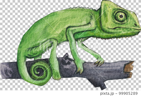 Pet care watercolor png element Pet care watercolor png element 99905289