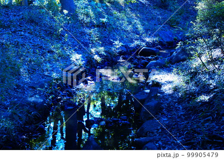 カラー　川　水　石　岩（2023年3月登録） 99905479