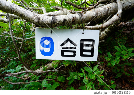 狩場山登山道9合目の標識 狩場山登山道9合目の標識 99905839
