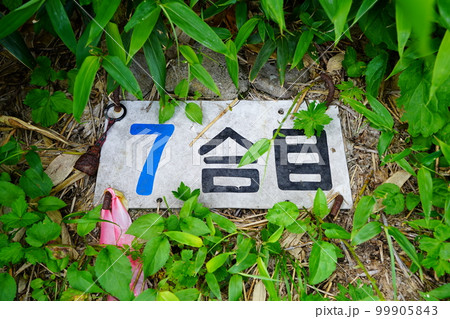 狩場山登山道7合目の標識 狩場山登山道7合目の標識 99905843