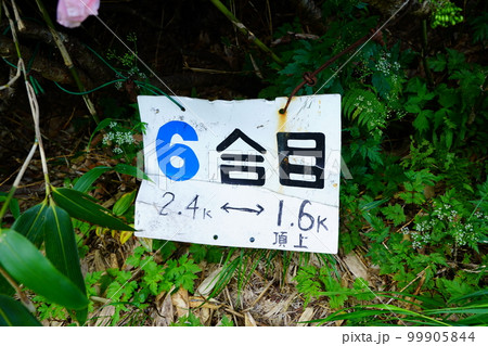 狩場山登山道6合目の標識 99905844