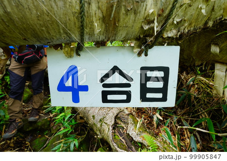狩場山登山道4合目の標識 99905847