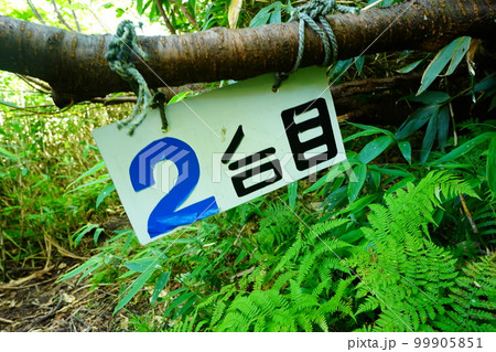 狩場山登山道2合目の標識 狩場山登山道2合目の標識 99905851