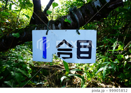 狩場山登山道1合目の標識 99905852