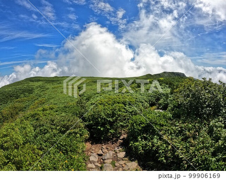 狩場山頂からの南狩場山への稜線 99906169