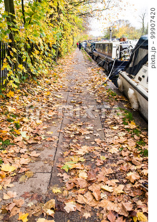 カナルボートが停泊する運河脇の歩道に散りばめられた落ち葉　ロンドンのパディントン近くにて 99907420