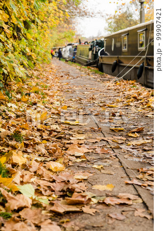 カナルボートが停泊する運河脇の歩道に散りばめられた落ち葉 ロンドンのパディントン近くにて カナルボートが停泊する運河脇の歩道に散りばめられた落ち葉 ロンドンのパディントン近くにて 99907421